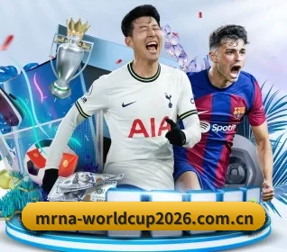 世界杯2026五大内容板块,覆盖赛事直播与实时比分